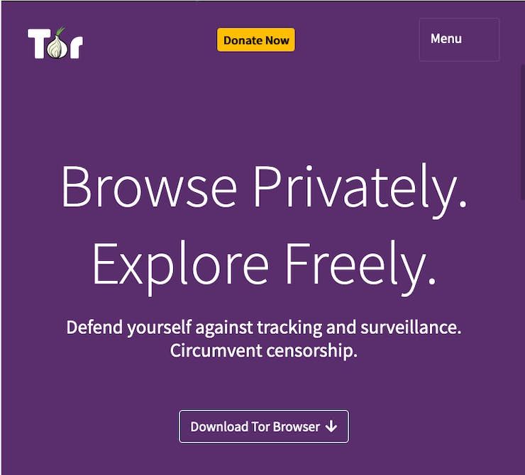 tor browser